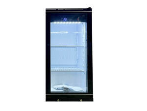 Tủ mát trưng bày 1 cánh kính Snow Village LC-138