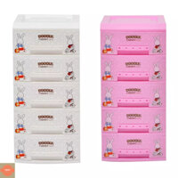 Tủ nhựa mini 5 tầng Song Long