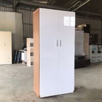 Tủ nhựa quần áo người lớn 2 cánh thiết kế đơn giản sang trọng