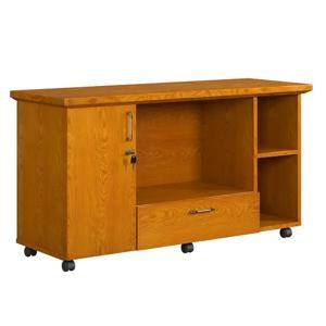 Tủ phụ di động TPV1