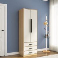Tủ Quần Áo Mini Gỗ Công Nghiệp Hiện Đại Giá Rẻ