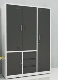 Tủ quần áo sắt gia đình xuân hoà CA-9A-3KL