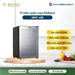 Tủ rượu Malloca MWC-65B