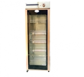 Tủ sấy bát Snow Village YTP-380A