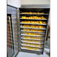 Tủ sấy bột nghệ, hoa quả, thuốc đông y 20 khay Việt Nam