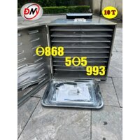 Tủ sấy củ quả, máy sấy 10 khay đa năng sấy nông sản, thực phẩm, hoa quả, thảo dược