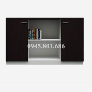 Tủ tài liệu gỗ Xuân Hòa FO3-TNV-01