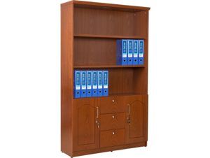 Tủ tài liệu Hòa Phát DC1240V9