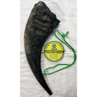 Tù Và Sừng Trâu Loại Lớn