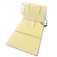 Tựa lưng điện có bô vệ sinh Oromi TLD-2025