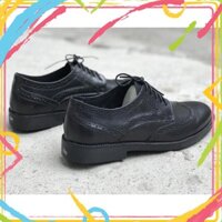 tuan00006 Giày tây nam công sở da bò cao cấp derby wingtip tuan00006