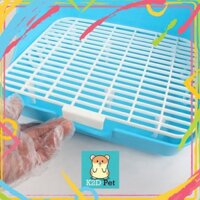 tuan00007 Khay vệ sinh Guinea Pig (bọ ú, chuột lang), thỏ, sóc bắc mỹ, chinchilla tuan00007