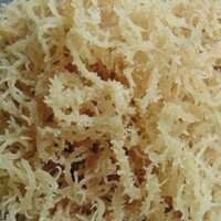 tuan78 rong sụn dùng nấu chè, làm gỏi, nấu thạch rau câu -100g/500g tuan78