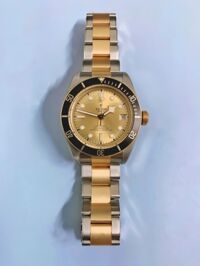 TUDOR Black Bay S&G watch – M79733N-0004 (LN)