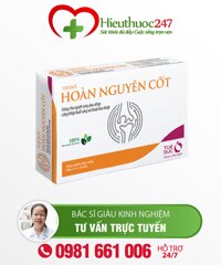 Tuệ Đức Hoàn Nguyên Cốt