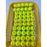 Túi 10 bóng HONMA VÀNG NEW 99%