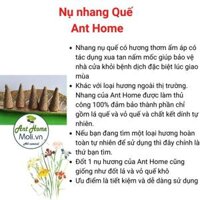 Túi 11 nụ nhang Palo Santo nguyên chất - Nhang gỗ trắc xanh - Gỗ thánh Holly wood - 1 nụ quế