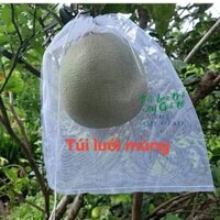 [TÚI 30*35] 100 CÁI TÚI LƯỚI MÙNG BỌC BƯỞI