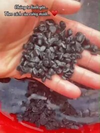 Túi 4Kg Sỏi màu đen vò trải nền hồ cá, trồng sen đá, đá cuội sỏi suối tự nhiên, đá cuội to, hồ cá 40