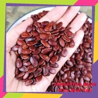 Túi 500g Hạt Dưa Tứ Hưng Không Màu Loại Nhỏ - Bao Giòn