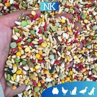 Túi 5kg Ngũ cốc gà đá cao cấp Javan, hỗ trợ tiêu hóa, tăng bo, tăng cơ bắp, tăng sức đề kháng