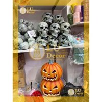 Túi 6 đầu lâu nhựa loại đẹp trang trí Halloween | LU Decor