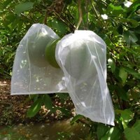 Túi bao bưởi 30x35 lưới mùng trơn - hàng chính hãng Hoa Mai