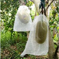 Túi bao Mít  40x50 lưới mùng - hàng chính hãng Hoa Mai