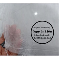 Túi bao trái bưởi ( 30x35 ) - 100 cái lưới sọc