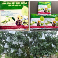 TÚI BAO TRÁI CÂY ÁNH DƯƠNG 30x35cm- Chuyên dùng bao trái bưởi Da xanh, Dưa lưới (100 cái)