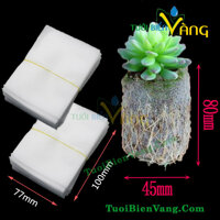 Túi bầu ươm cây tự hủy – 200 túi bầu