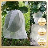 Túi bọc bưởi set 100 cái - Túi bao trái cây