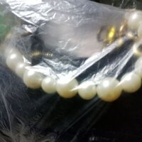 túi chốt live đen