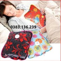 Túi chườm điện Thiên Thanh Electric Warmer Bag ( 22 x 22 x 7)