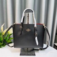 TÚI COACH MOLLIE TOTE C4250