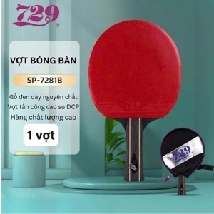 Túi đeo chéo vai 729