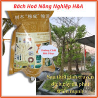 Túi Dịch Truyền Dinh Dưỡng Cho Cây Công Trình, Cây Cảnh ( Đầy đủ 6 loại ) Giúp Cây Bật Mầm Khỏe, Ra Rễ Nhanh, Cứu Cây