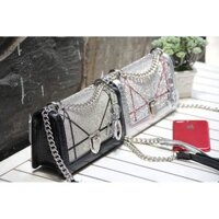 Túi dior ánh bạc