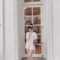 Túi dior cặp lồng