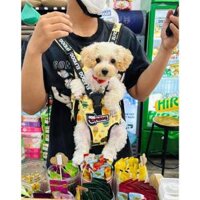 Túi địu thú cưng đi dạo, Balo địu chó mèo  - GAMI PET