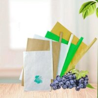 Túi Giấy 2 lớp bảo vệ trái cây FPB.TX 22*32 cm, Túi bọc Nho, Xoài, Thanh Long