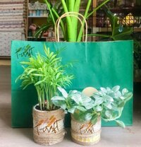 TÚI GIẤY KRAFT KÍCH THƯỚC 41x13x30cm KÈM QUAI XÁCH CHẮC CHẮN DÀY 120gsm ĐỰNG QUÀ TẶNG T.CRAFT HOUSE