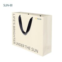 Túi giấy size lớn Sun Life/ Bộ 5 túi giấy size lớn Sun Life