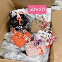 Túi H’M Bikin da rắn size 20-25-30 lót da togo siêu đẹp hàng QC cao cấp
