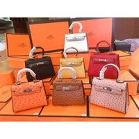 Túi HM da kỳ nhông