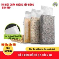 Túi Hút Chân Không Định Hình B1D-Rep-100G (Dùng Cho Gạo Các Loại Hạt) Với Đủ Các Kích Thước. Hàng Nhập Khẩu Chính Hãng SGE Thailand