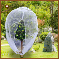 Túi lưới cây trồng trong vườn Wilitto có dây kéo Vỏ lưới mịn Vỏ lưới sân vườn chống côn trùng có dây rút và khóa kéo để bảo vệ toàn diện cây ăn quả cho khu vực Đông Nam