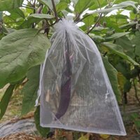 [Túi lưới chống côn trùng] Túi chống côn trùng trái cây, túi chống chim, túi dâu tây, túi lưới thoáng khí, túi dâu tây, cà chua, anh đào, túi lưới chống côn trùng đặc biệt