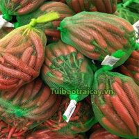 Túi lưới cước xanh