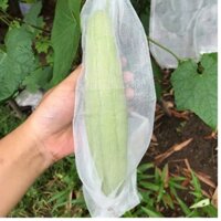 Túi lưới mùng 15x35cm bao khổ qua, dưa leo, bí ngăn sâu, rầy phá hại  - hàng Hoa Mai